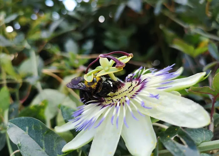 La Biocca Bed & Breakfast